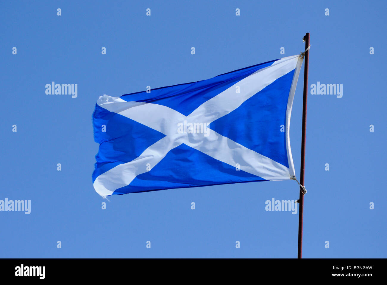 Schottischen Nationalflagge oder Andreaskreuz Stockfoto