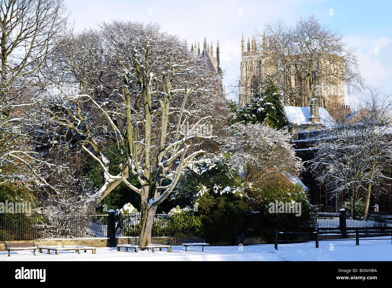 Winterliche Sonneneinstrahlung auf Museum Gärten, York, England Stockfoto