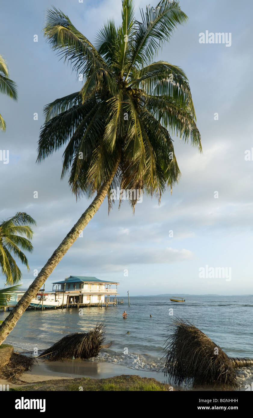 Bocas del Toro Isla Carenero in Panama Stockfoto