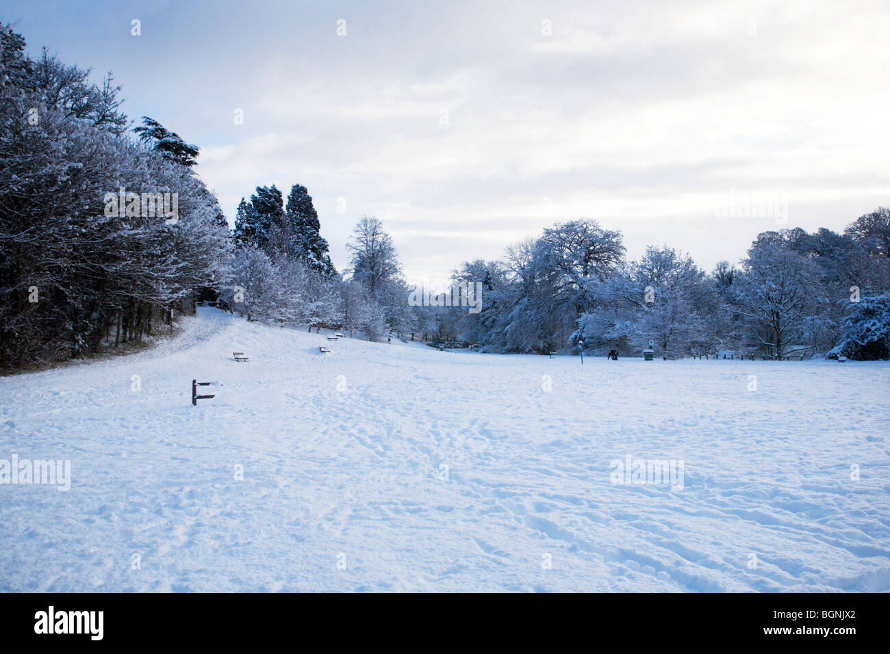 Schnee bedeckte Parkplatz am Conyngham Hall Knaresborough North Yorkshire England Stockfoto