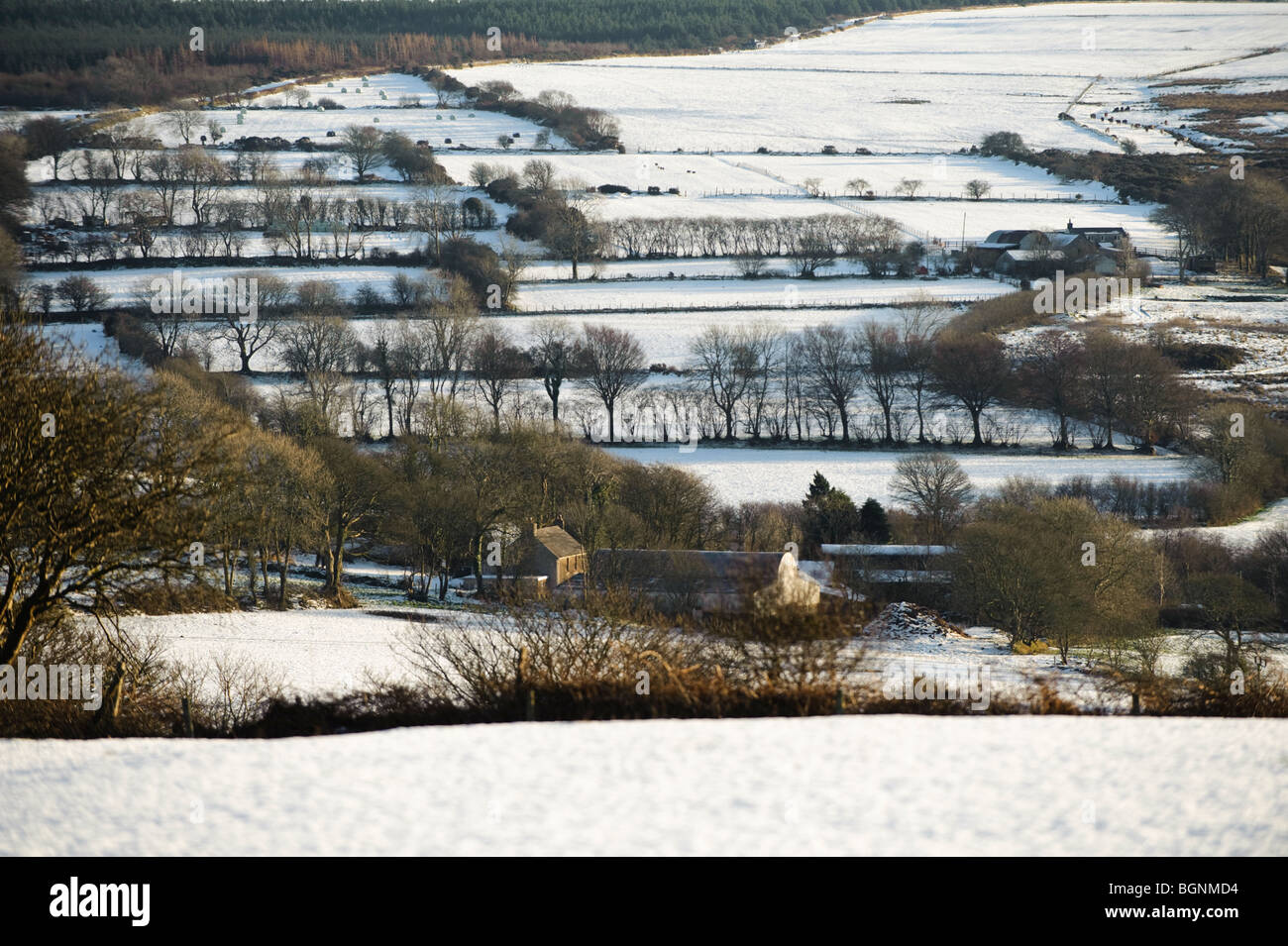 Bauernhof im Schnee in der Nähe von Plwmp Dorf; Südlichen Ceredigion Landschaft im Schnee, Januar 2010 Stockfoto
