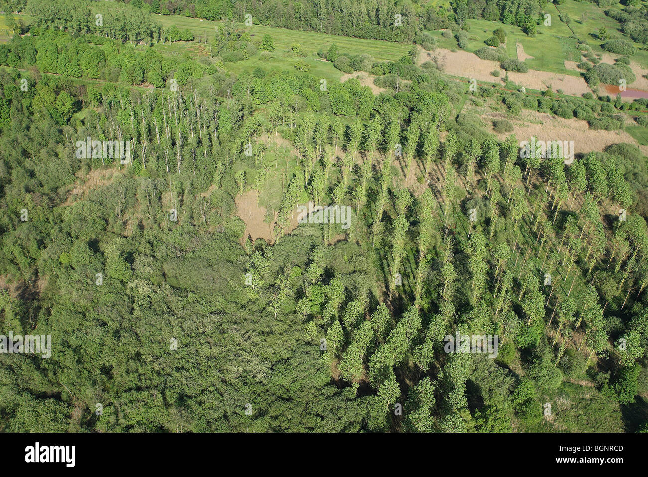 c aus der Luft, Belgien Stockfoto