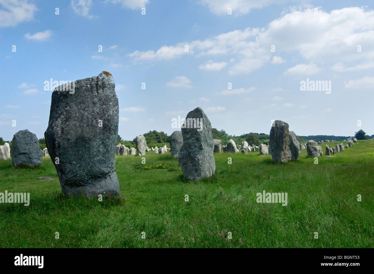 Standing Stones in die Ménec Ausrichtung in Carnac, Morbihan, Bretagne, Frankreich Stockfoto