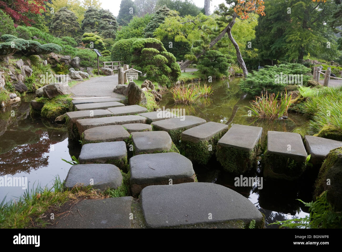 steinerne brücke, japanese tea garden, golden gate park, san