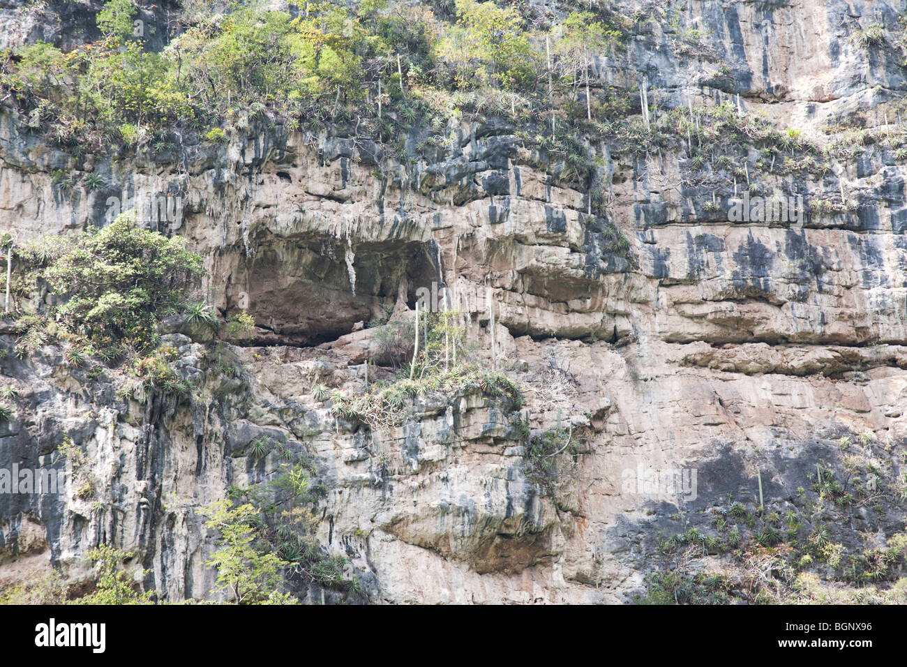 Sumidero Canyon, Chiapas, Mexiko. Stockfoto