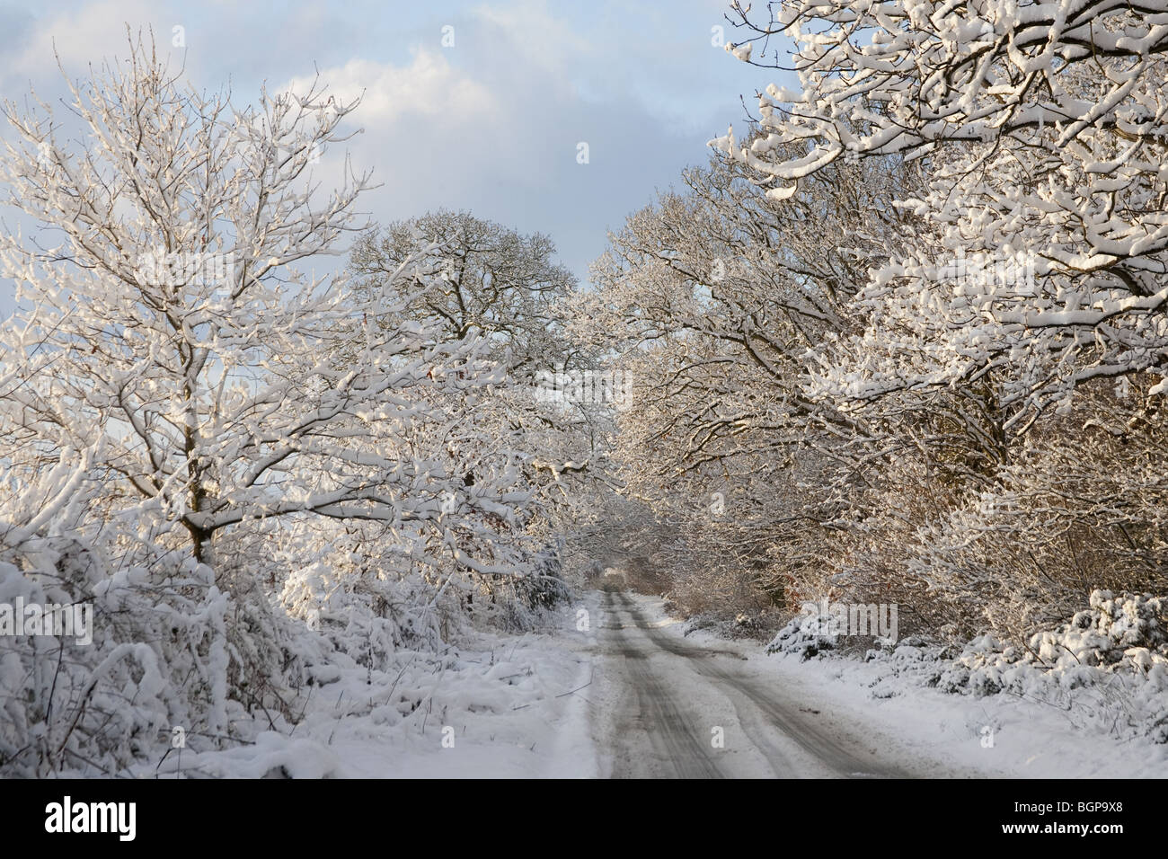 Norfolk Feldweg im Schnee Stockfoto