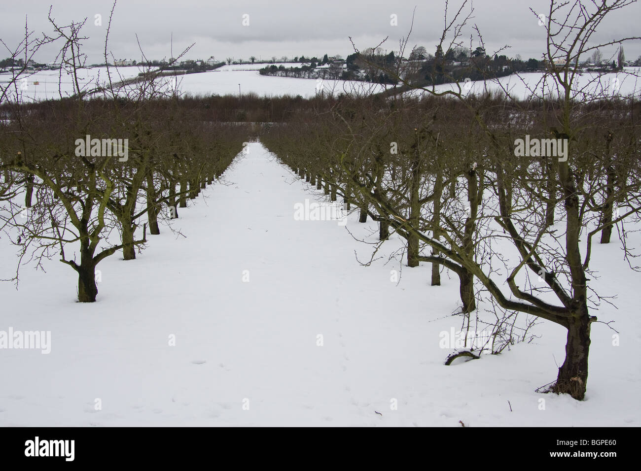 Schnee Winter Land Szene Landschaft kaltes Eis Stockfoto