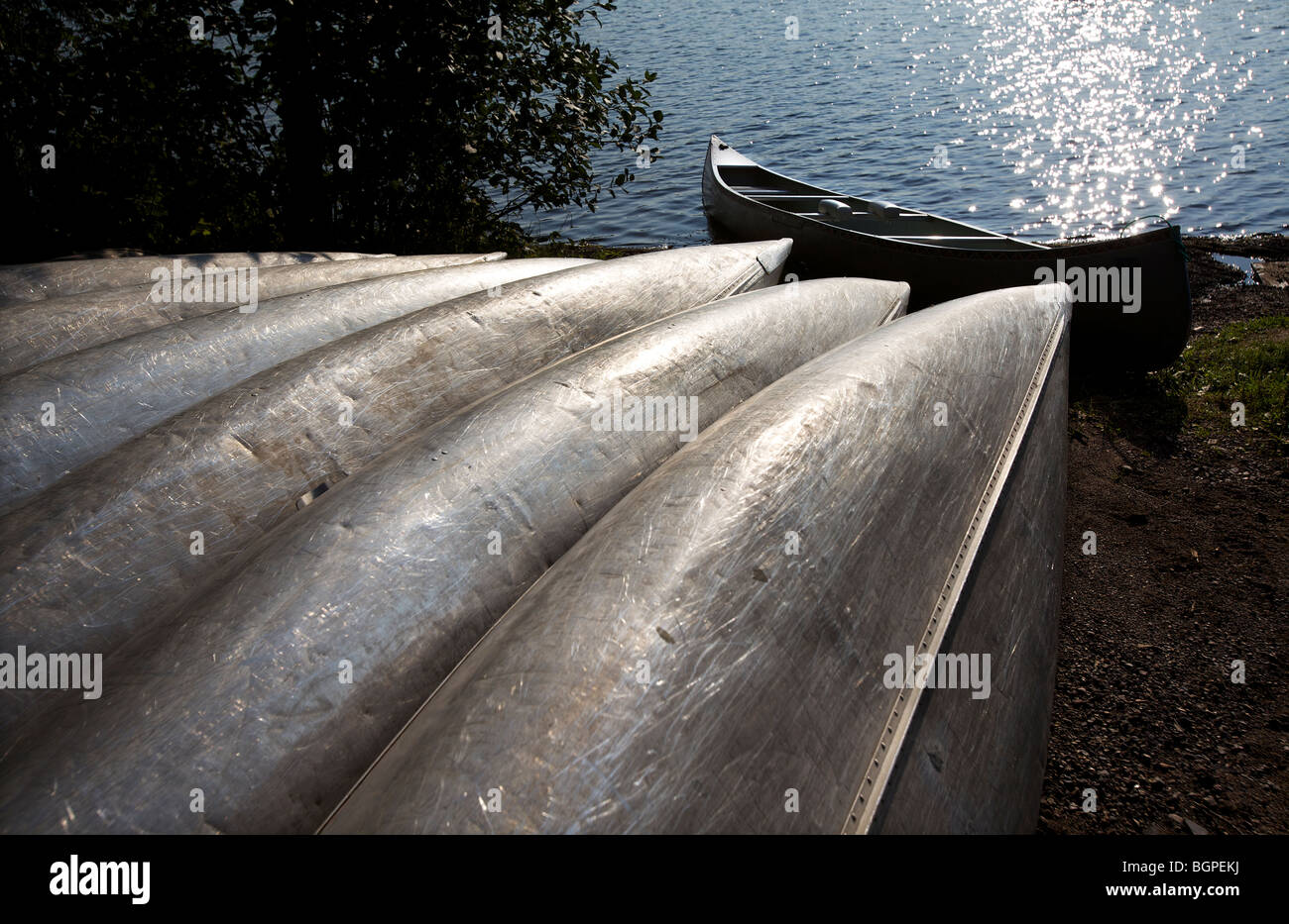 Aluminium-Kanus aufgereiht entlang der Küste des nördlichen Minnesota See. Stockfoto