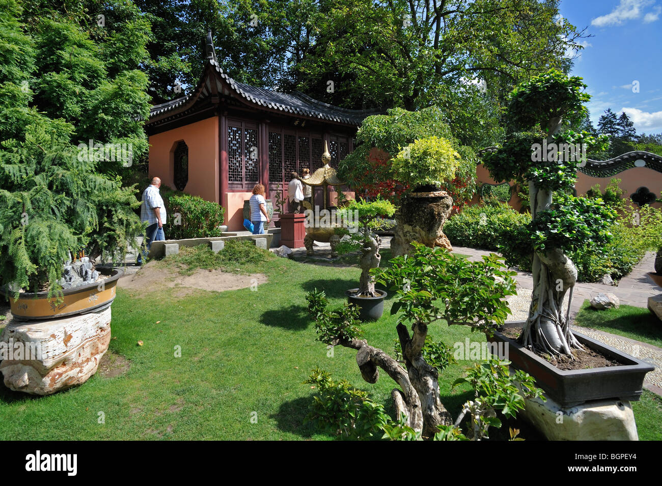 Tempel und Bonsai Bäume im chinesischen Garten im Themenpark Pairi