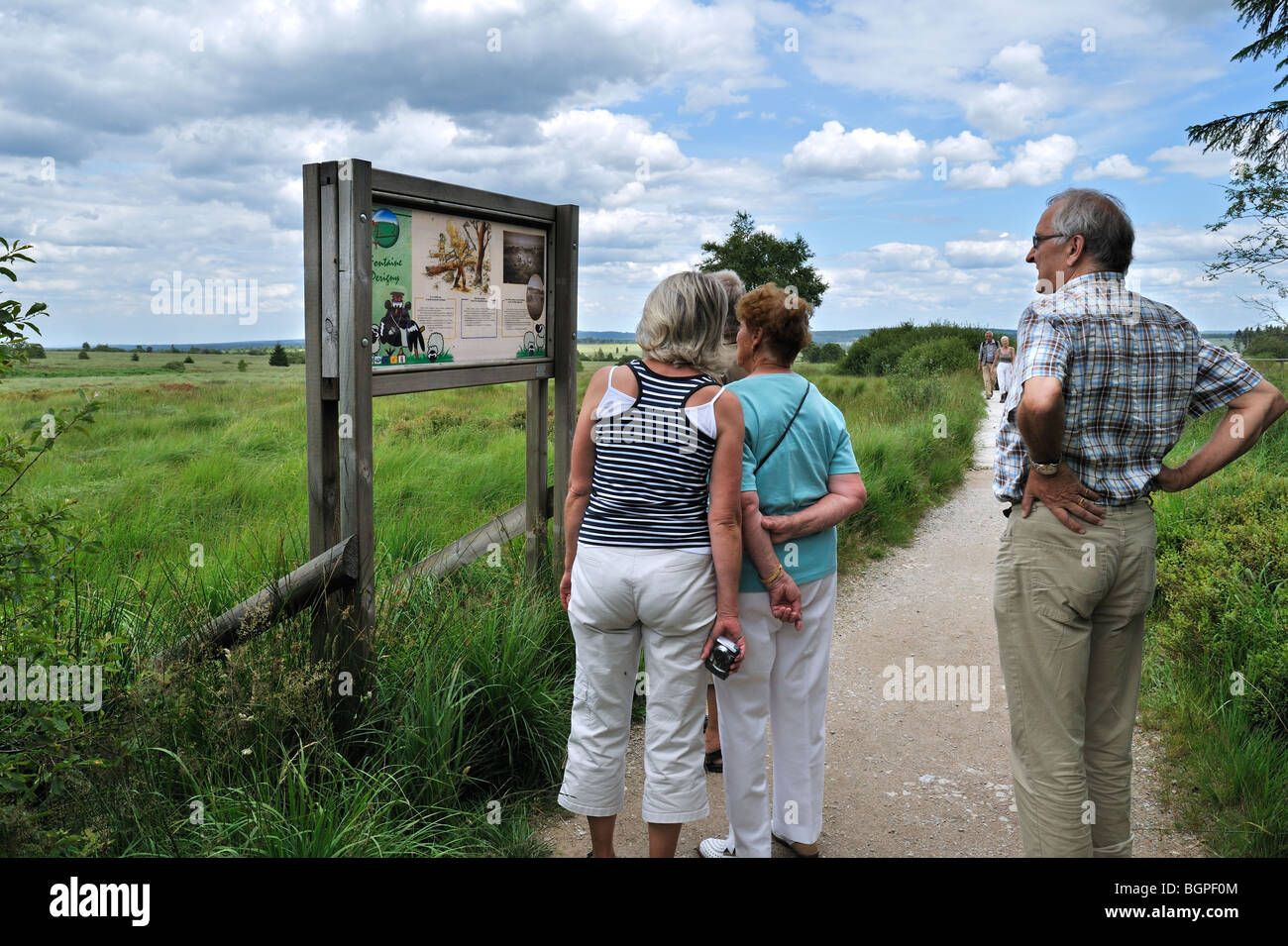 Touristen Info-Tafel in der Natur zu lesen behalten hohe Venn / Hautes Fagnes, belgische Ardennen, Belgien Stockfoto