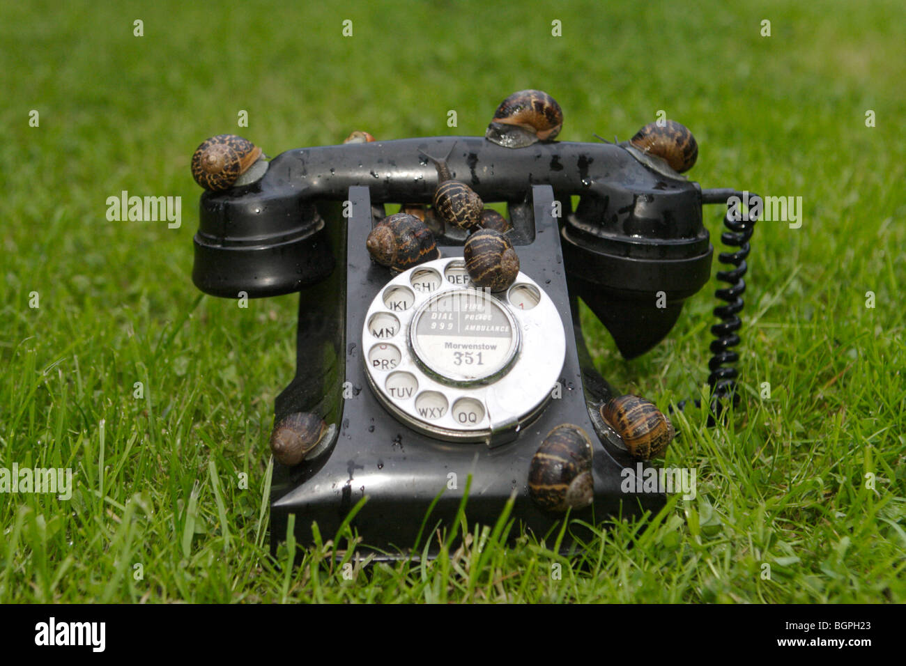 Bakelit Telefon vom 1946 sitzen auf dem Rasen bedeckt mit Schnecken Stockfoto