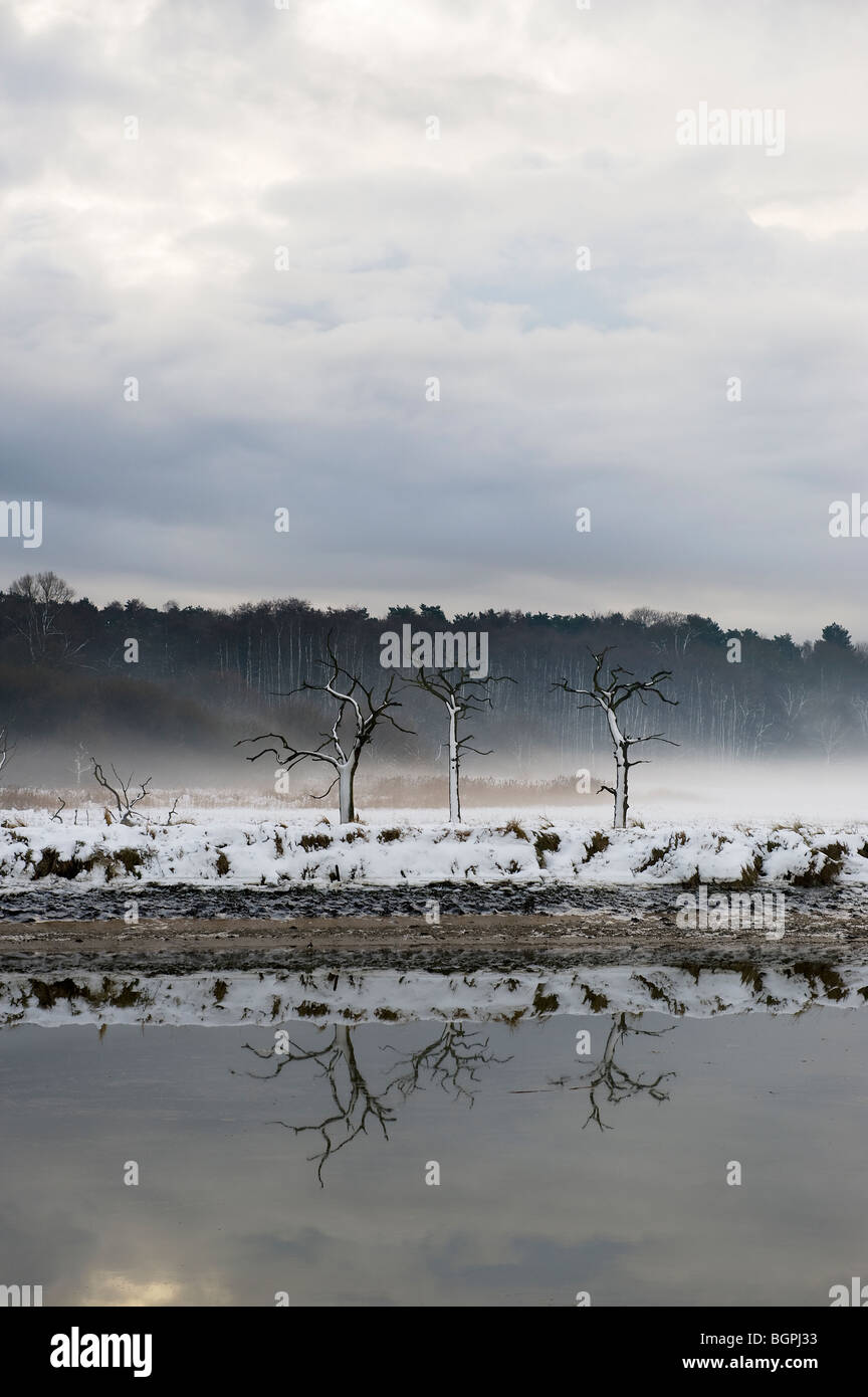 Winterschnee Suffolk Landschaft Fluss Deben Woodbridge Melton Suffolk UK Stockfoto