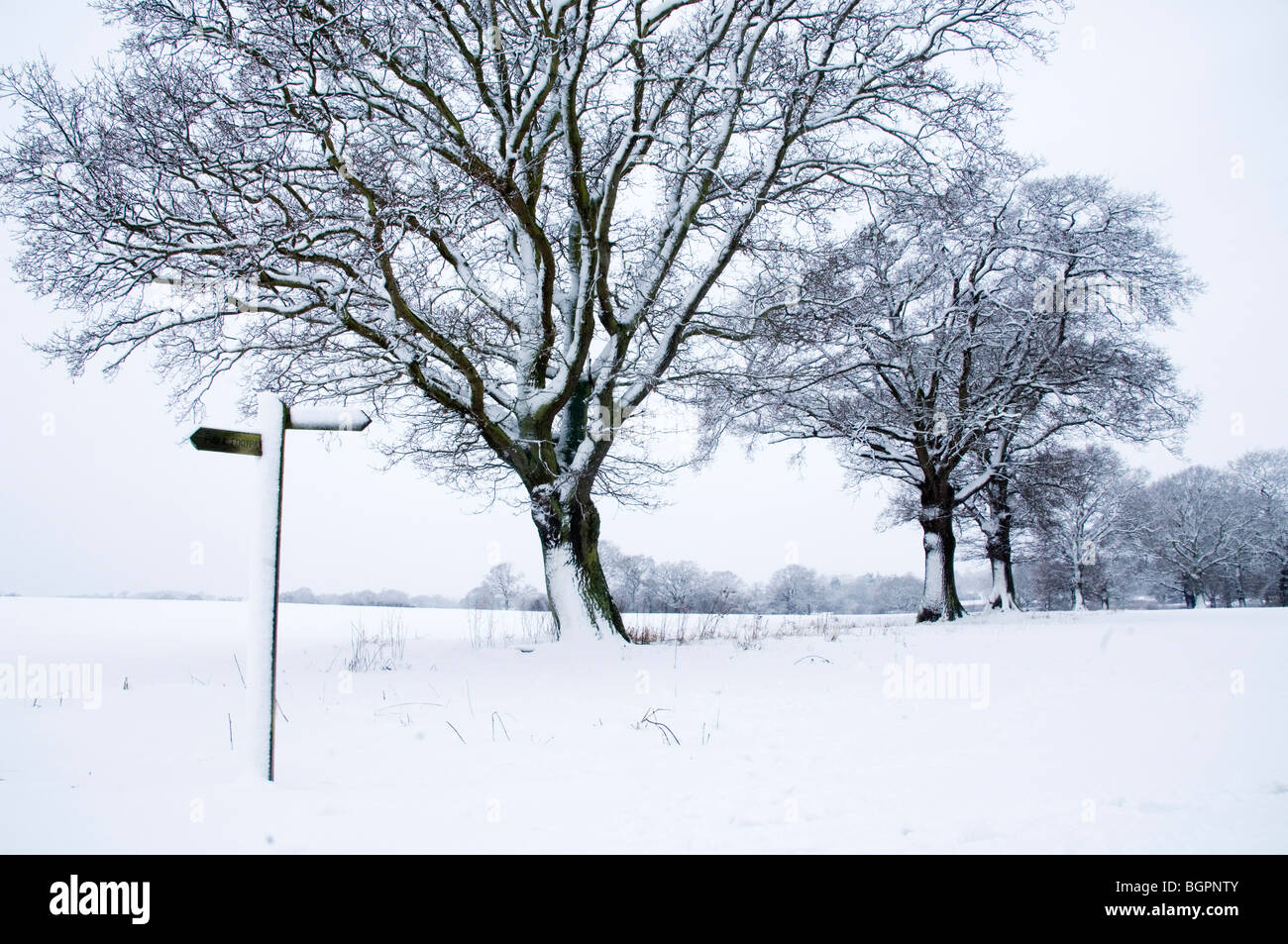 EIN WANDERWEG IN DER LANDSCHAFT VON SUSSEX IM WINTERSCHNEE. Stockfoto