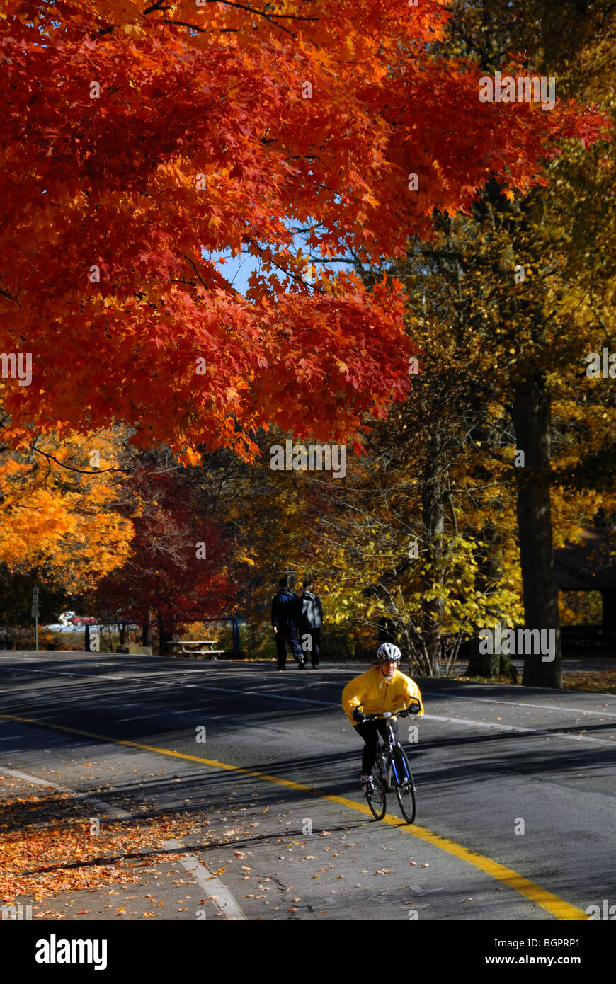 Ein Radfahrer und Wanderer genießen Sie einen knackigen fallen in North Park, Pittsburgh, Pennsylvania. Stockfoto
