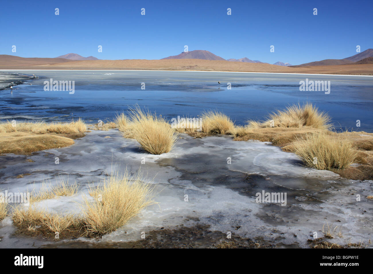 Laguna Hedionda salar de Uyuni, Bolivien Stockfoto