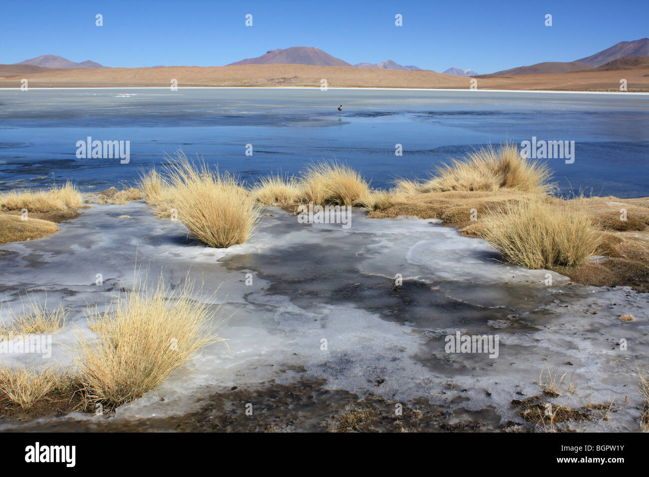 Laguna Hedionda salar de Uyuni, Bolivien Stockfoto