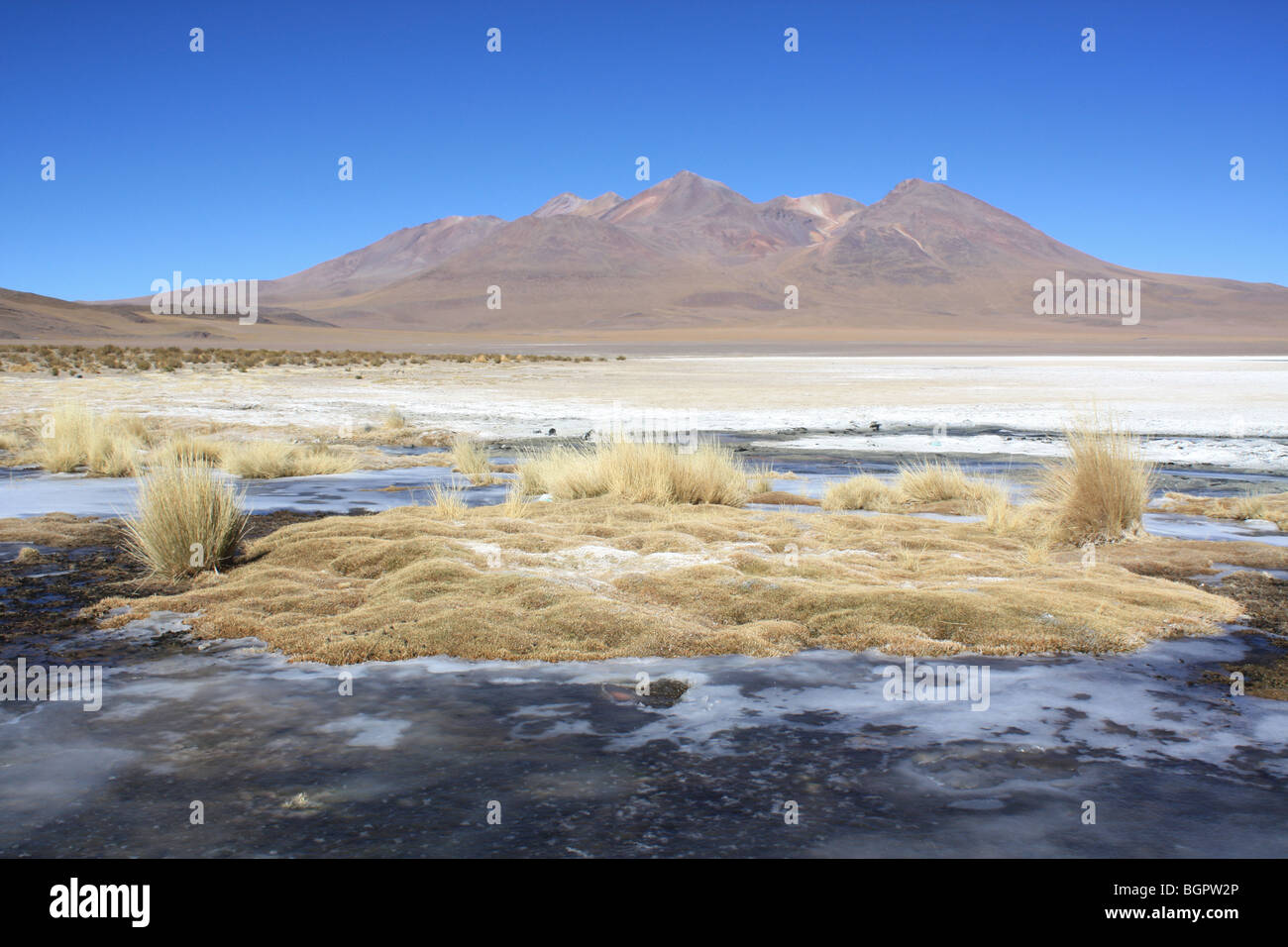 Laguna Hedionda salar de Uyuni, Bolivien Stockfoto