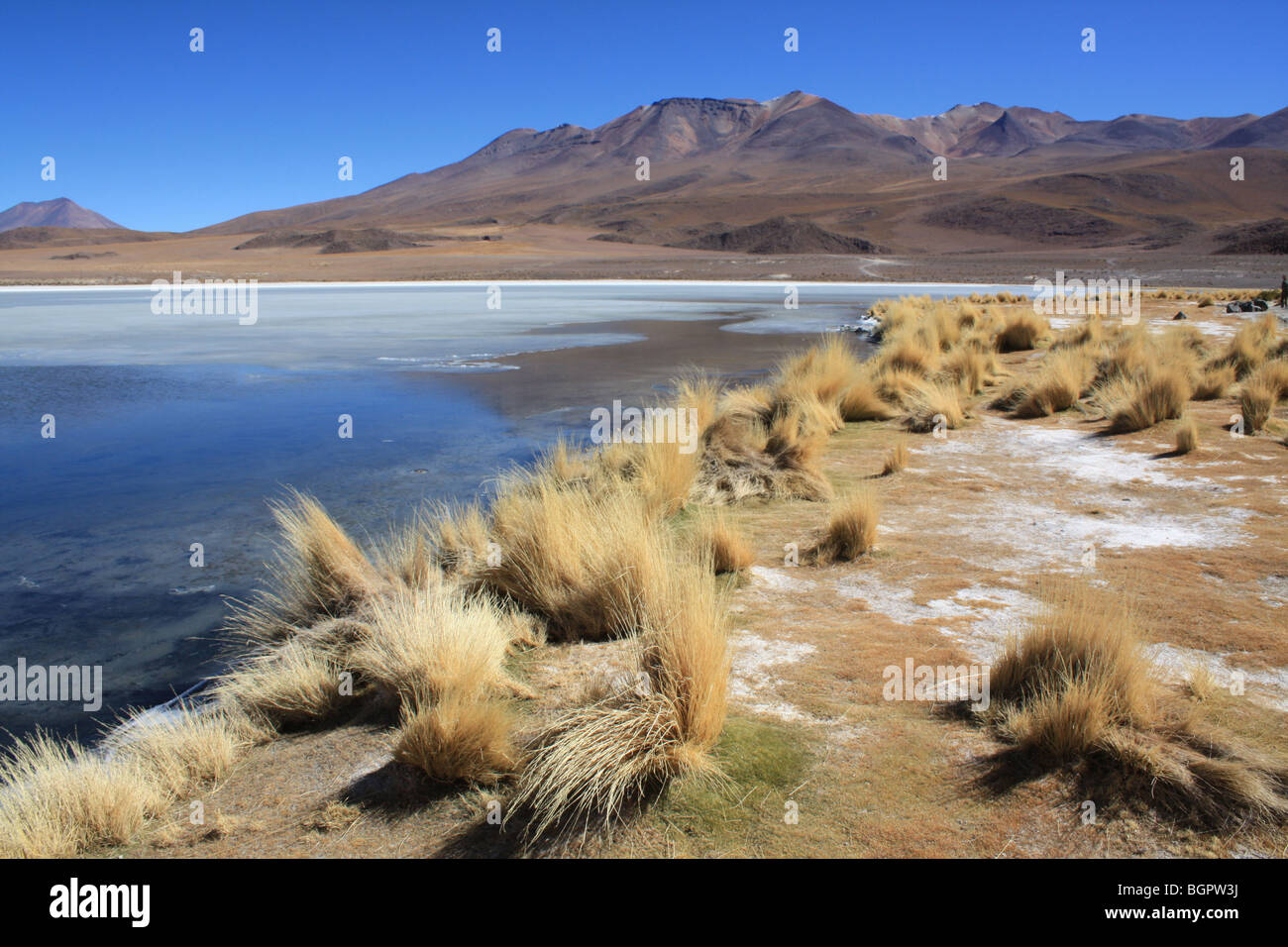 Laguna Hedionda salar de Uyuni, Bolivien Stockfoto