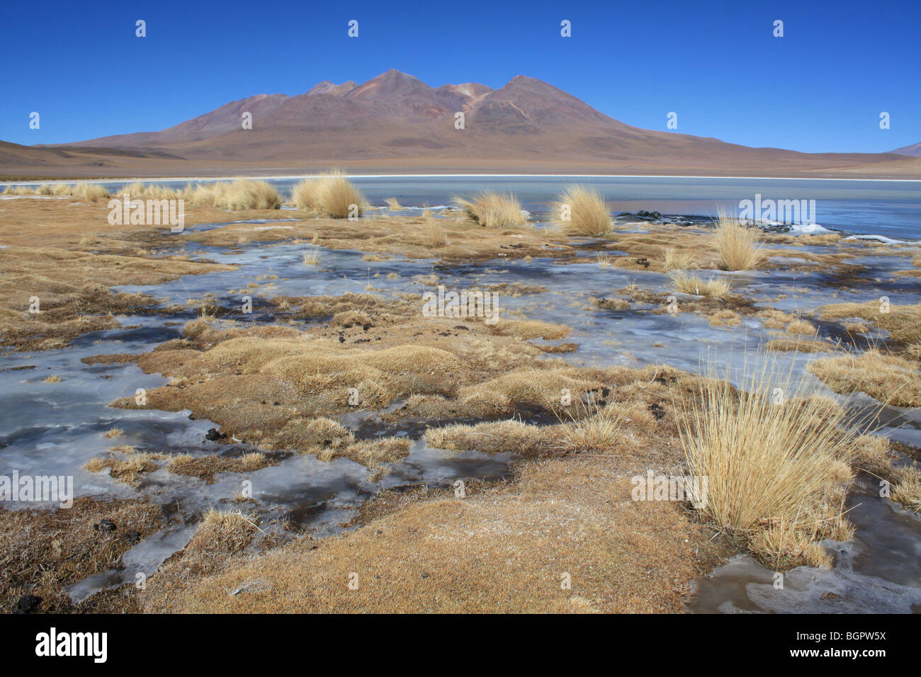 Laguna Hedionda salar de Uyuni, Bolivien Stockfoto