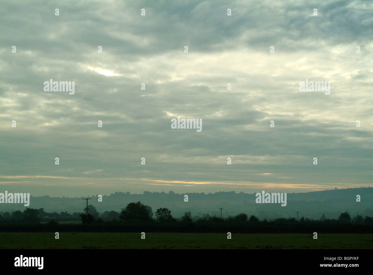 Eine neblige Szene über Somerset Felder mit grünem Rasen im Vordergrund und schönen Bäumen im Hintergrund. Stockfoto