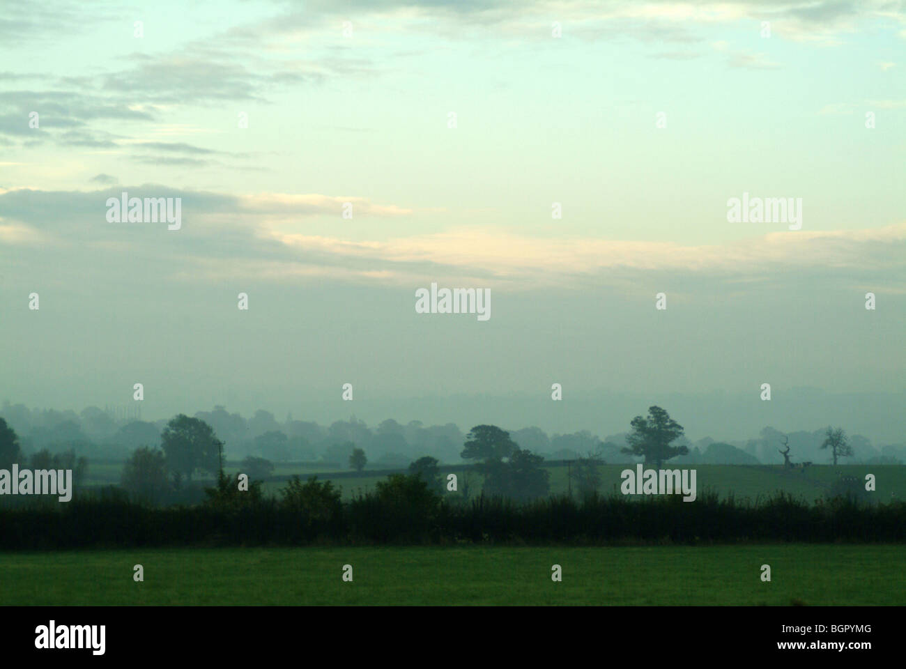 Eine neblige Szene über Somerset Felder mit grünem Rasen im Vordergrund und schönen Bäumen im Hintergrund. Stockfoto