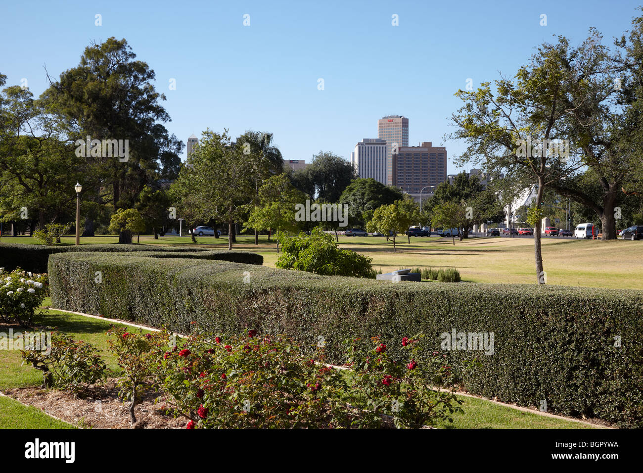 Angas Gärten und Stadt anzeigen, Adelaide, SA, Australien Stockfoto
