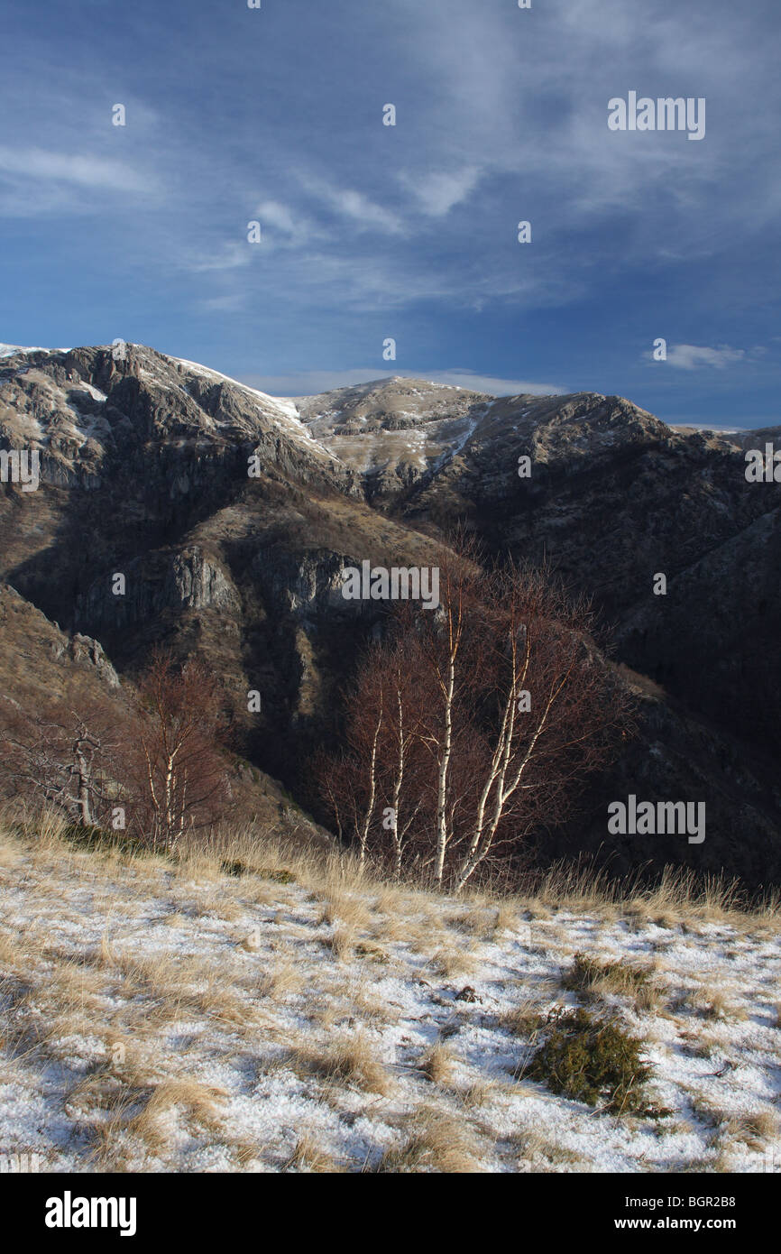 Zentralen Balkan Nationalpark - große Schutzgebiet in Bulgarien, Winter Stockfoto