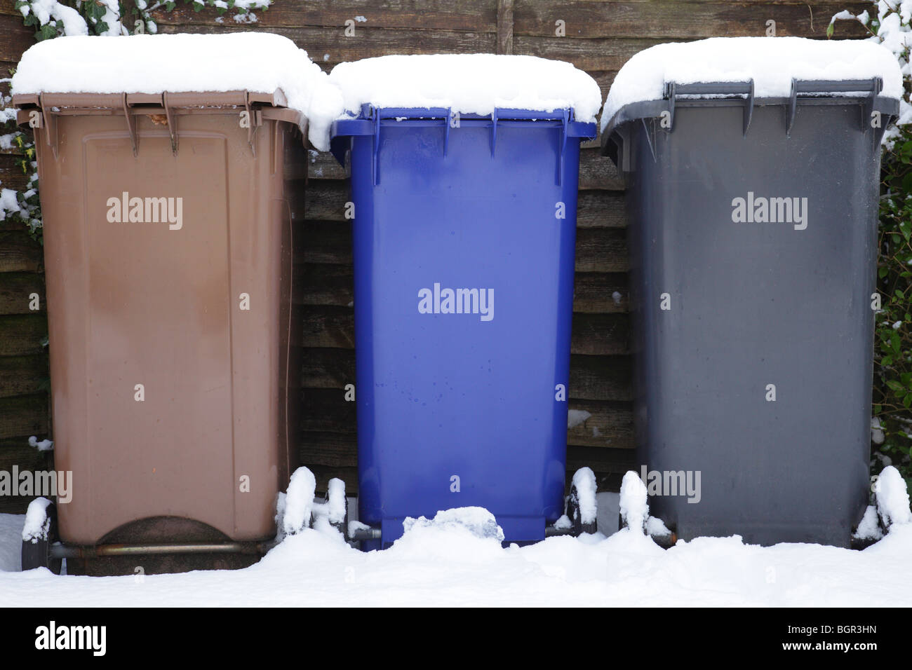 Haushalt-recycling-Behälter im Winter, Schottland, Vereinigtes Königreich Stockfoto