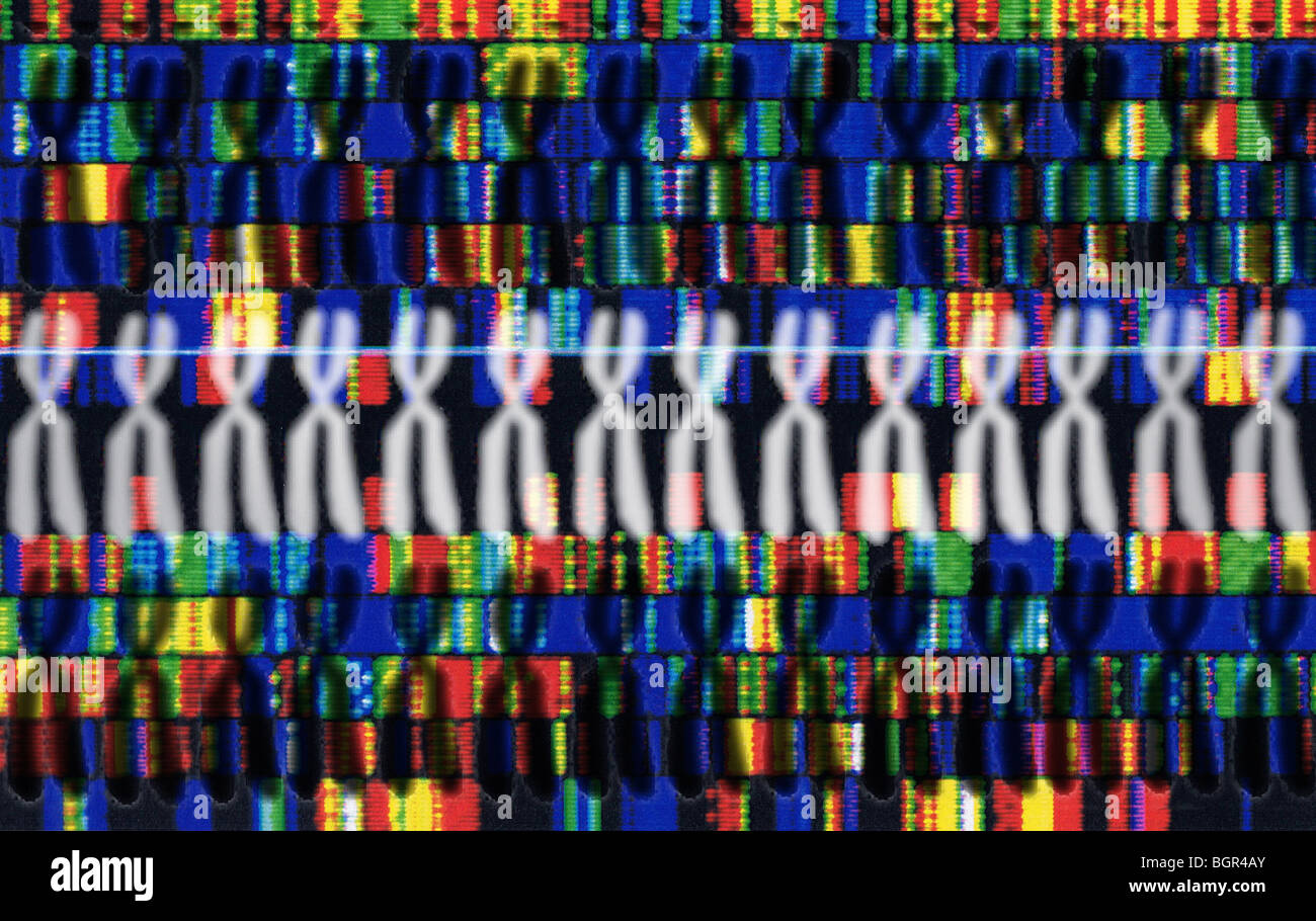 Chromosomen, Decodierung, symbol Bild, DNA-Sequenz Stockfoto Chromosomen, Decodierung, symbol Bild, DNA-Sequenz Stockfoto