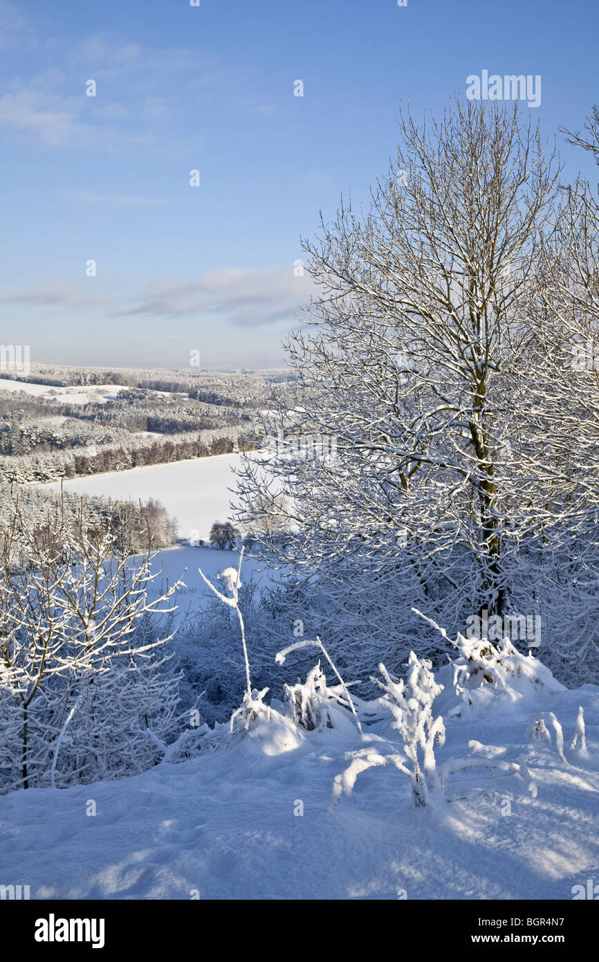 Snowy cropton Wald North York Moors National Park Stockfoto