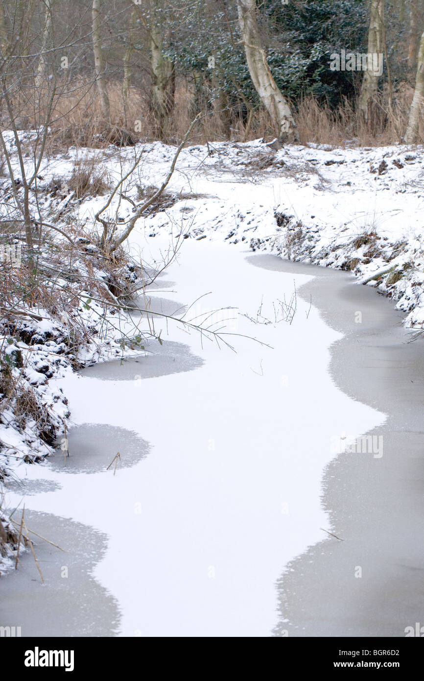 Schmelzender Schnee auf dem Eis bedeckt Oberfläche eine Entwässerung Deich. Calthorpe breit, Norfolk. SSSI, NNR, ESA. Winter, Januar. Stockfoto