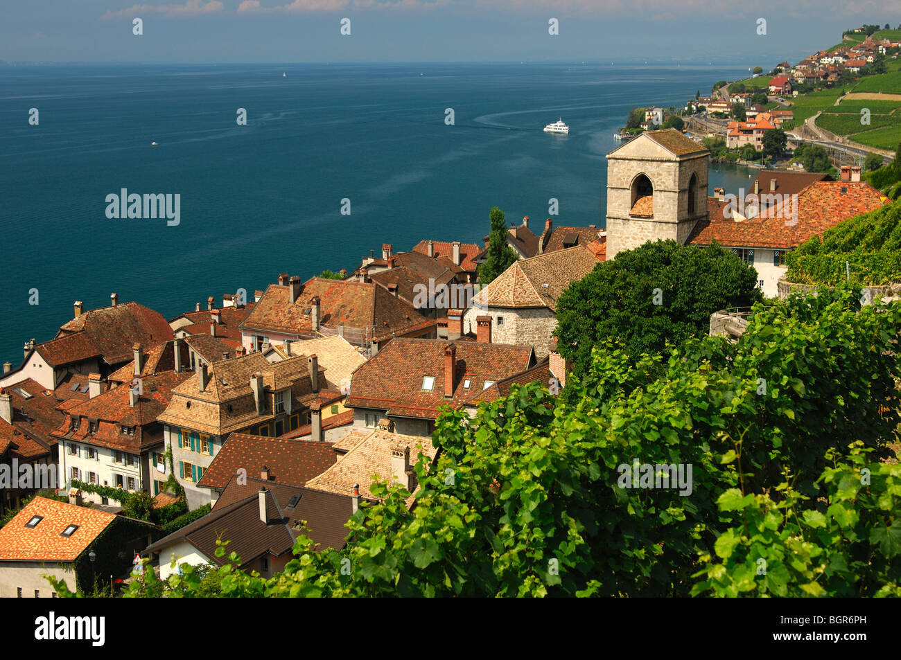 Blick auf Saint-Saphorin am See Leman, UNESCO-Welterbe Lavaux, Waadt, Schweiz Stockfoto