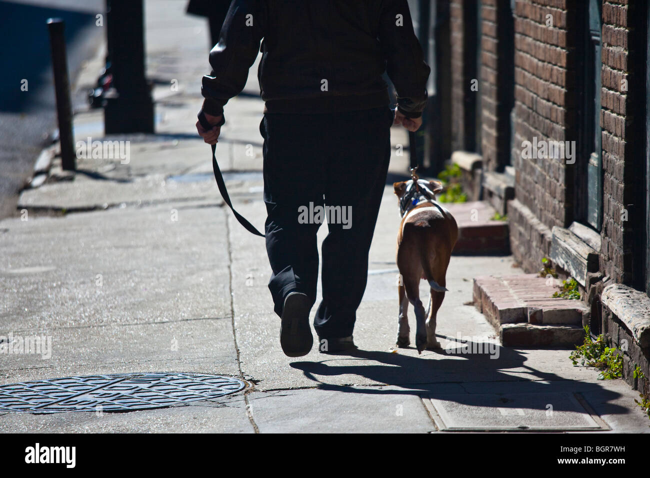 Mann geht seinen Hund in der Französisch Quarter von New Orleans LA Stockfoto