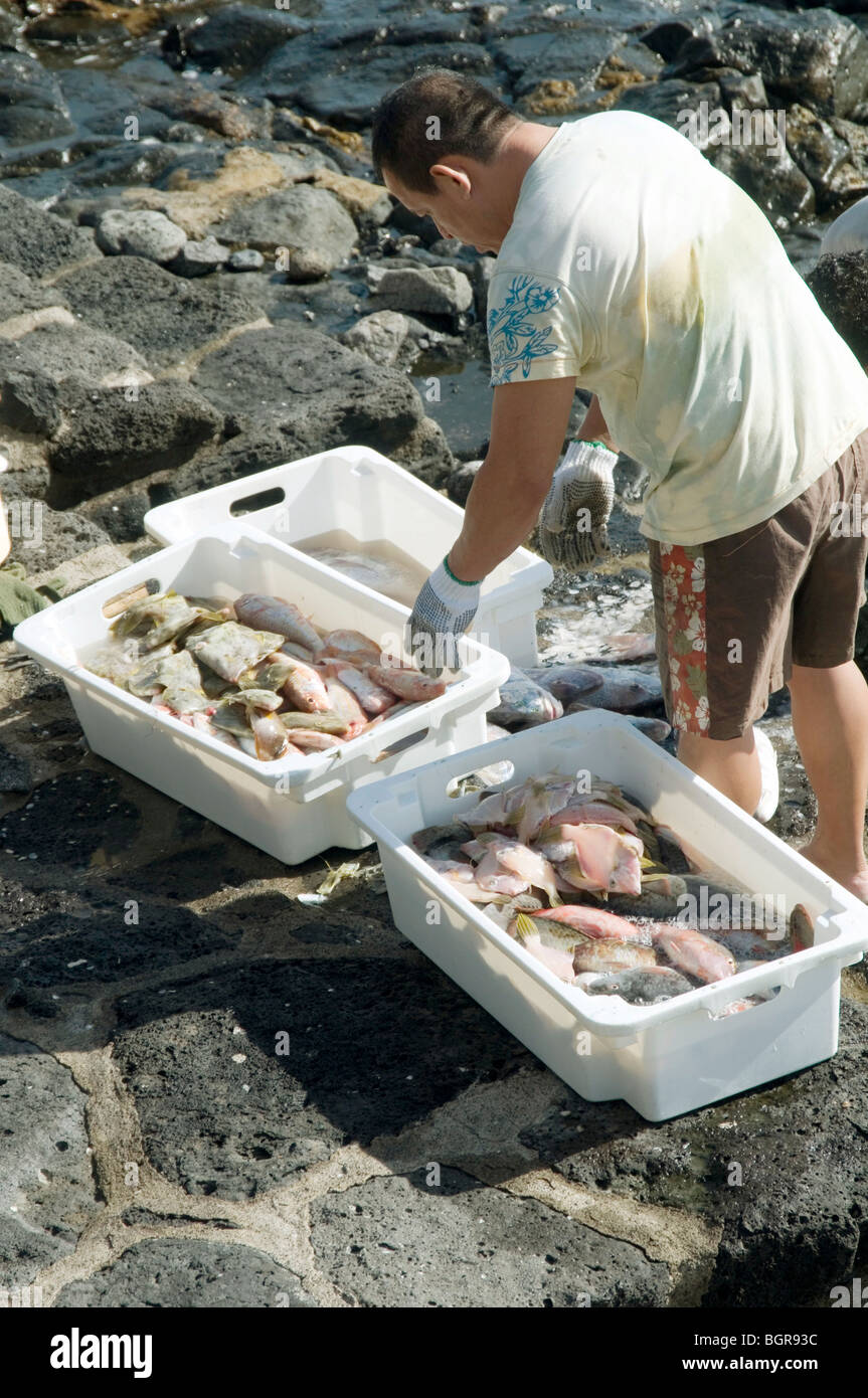 spanische Fischer gefangen Fischer Spanien Fuerteventura Kanarische Inseln, die Inseln Canarias frische lokal produzieren steif fangen Stockfoto