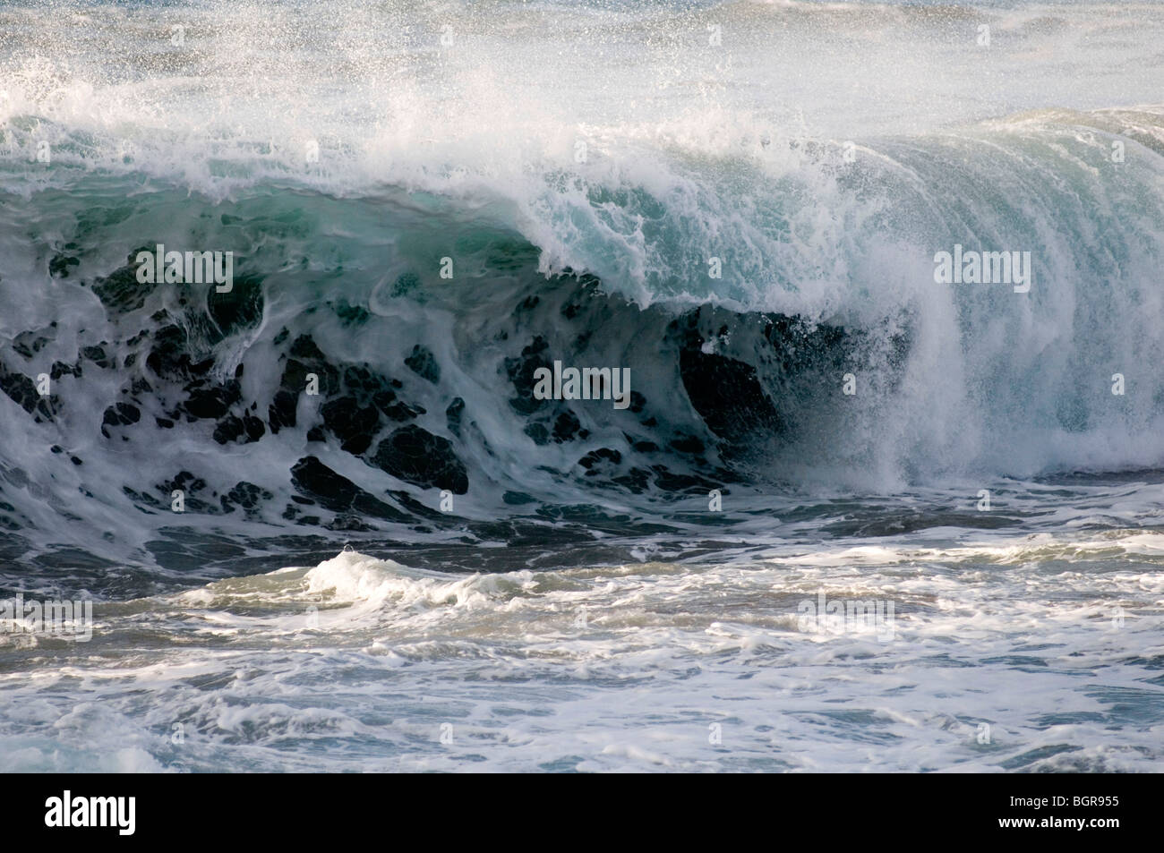 Welle Wellen Seegang weiße Pferde Surf Surfen atlantic Rollen Absturz tosenden Wasser Meer Meere Spray blau Surfen Fuerteventura c Stockfoto