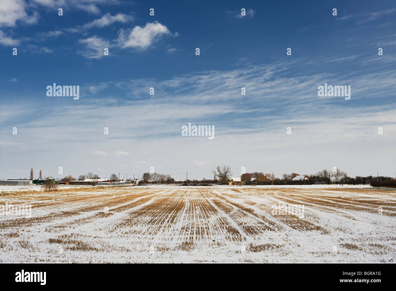 Landwirtschaftliche Flächen am Rande des Fenlands, nahe dem Dorf Auge, Peterborough, Cambridgeshire Stockfoto