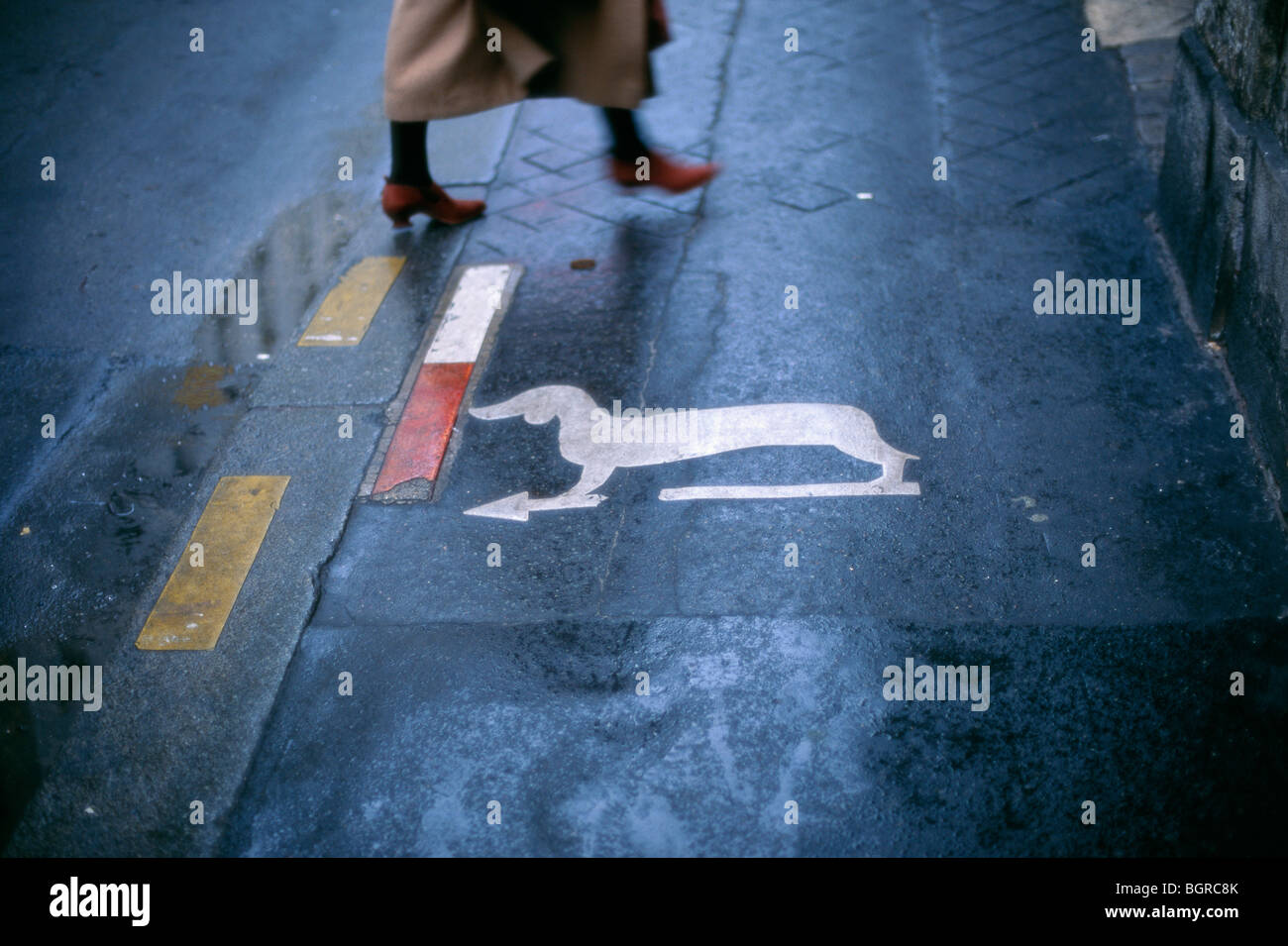 Ein Hund Schild an der Straße, Frankreich. Stockfoto