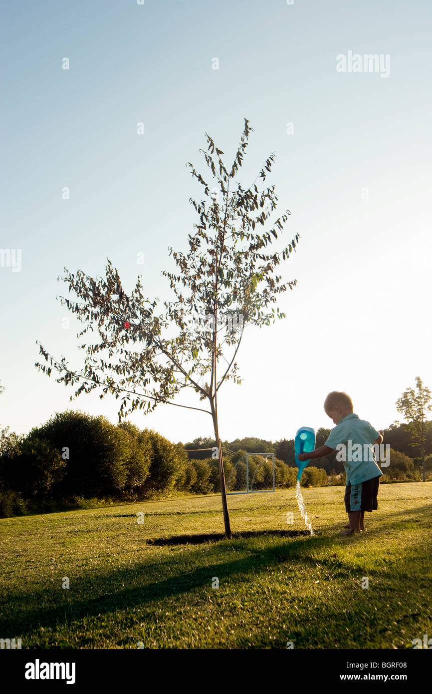 Ein kleiner Junge Gartenarbeit, Schweden. Stockfoto