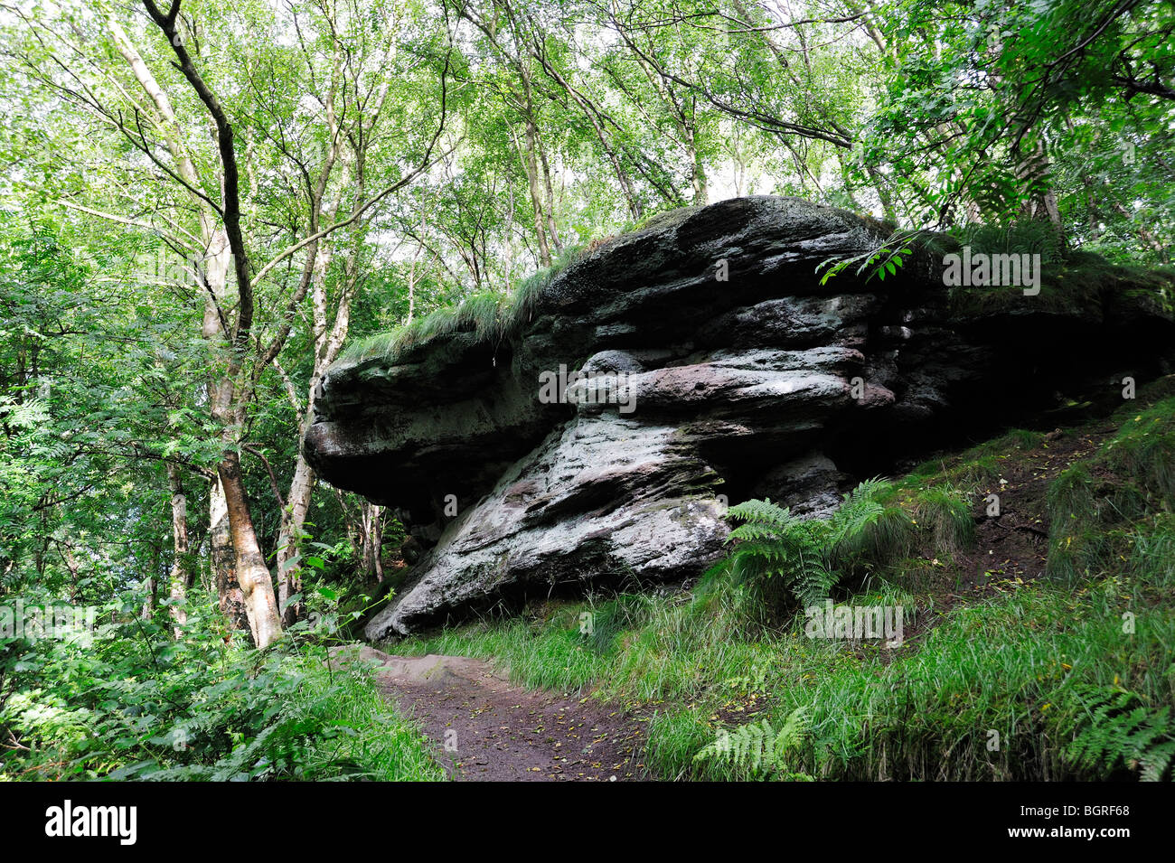 Felsvorsprung auf dem Sandstein-Trail, Stockfoto