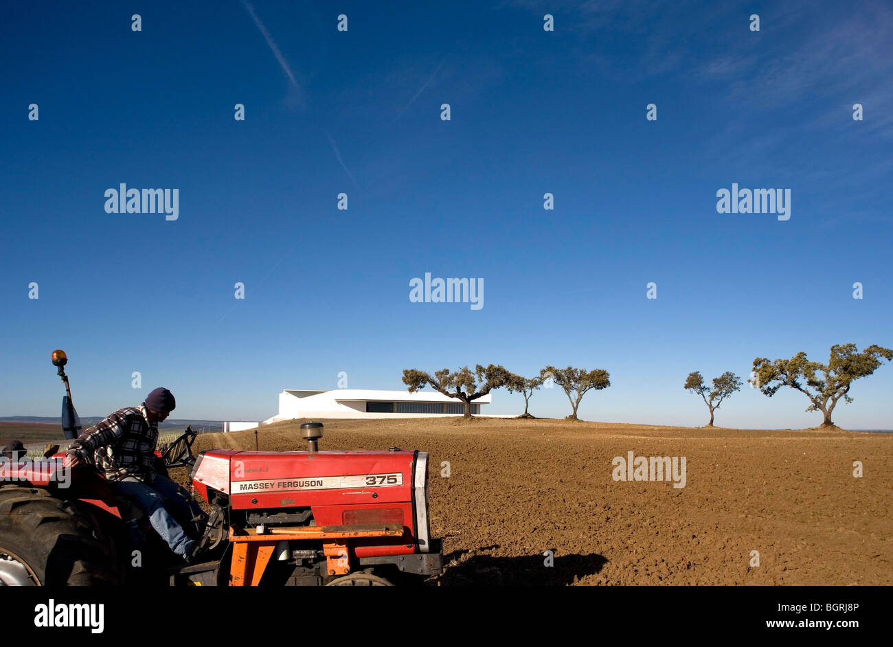 WEINGUT BÜRGERMEISTER, CAMPO MAIOR, PORTUGAL, ALVARO SIZA Stockfoto