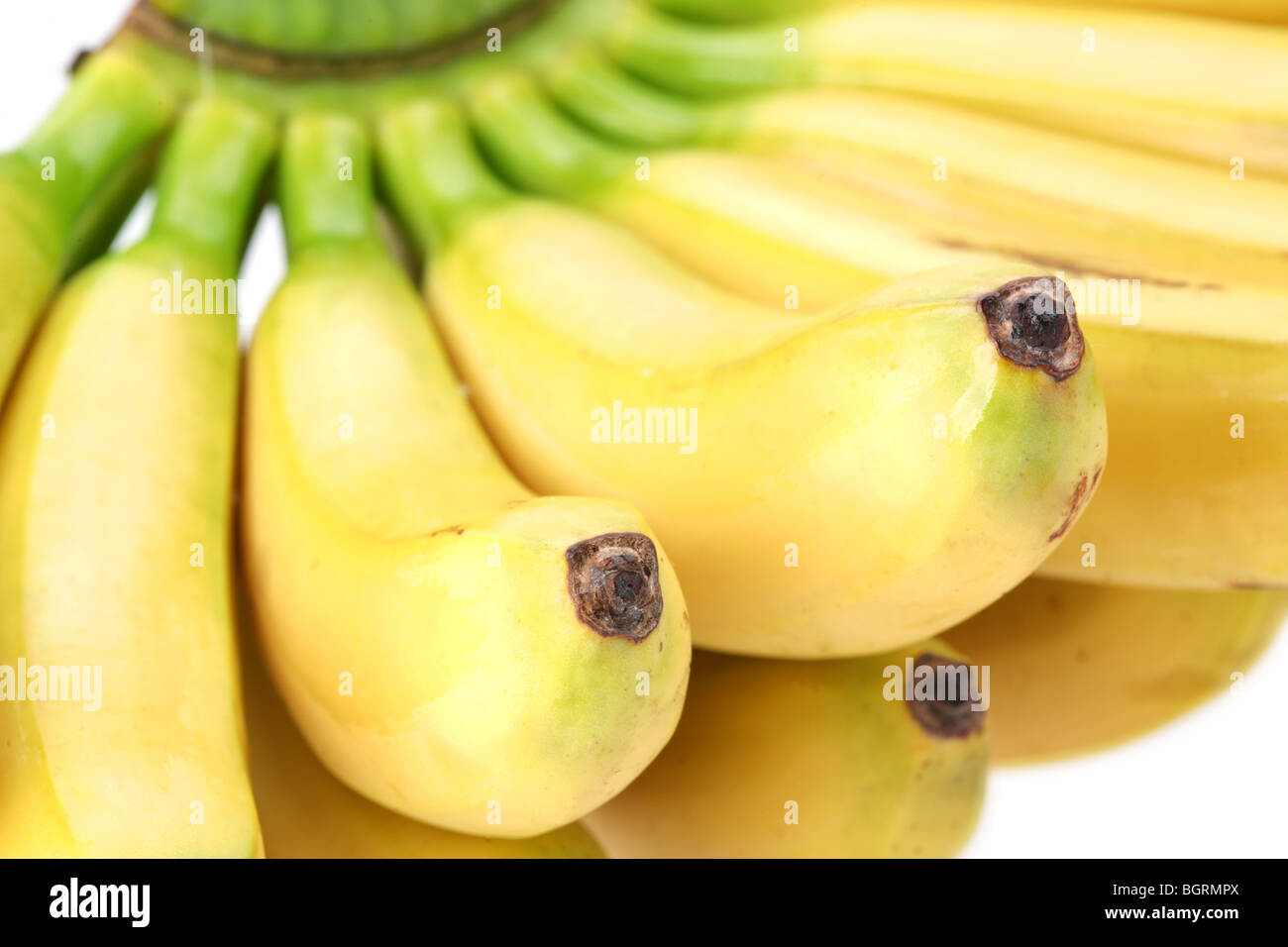 Bündel Bananen Stockfoto