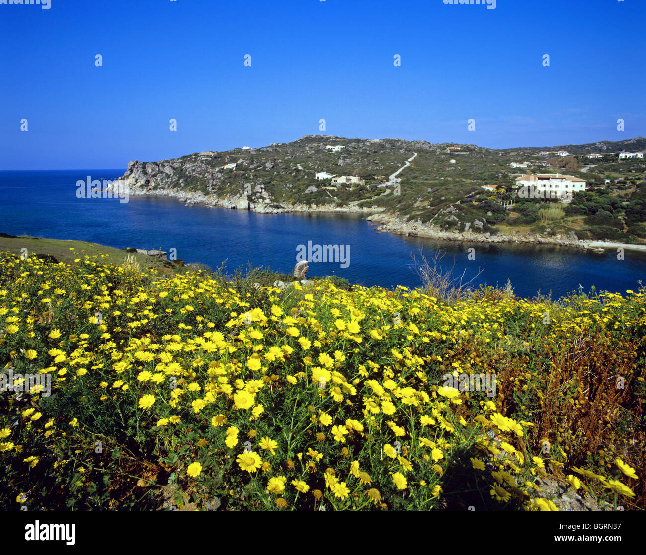 Küstenlandschaft in der Nähe von Santa Teresa di Gallura an der nördlichen Spitze von Sardinien Stockfoto