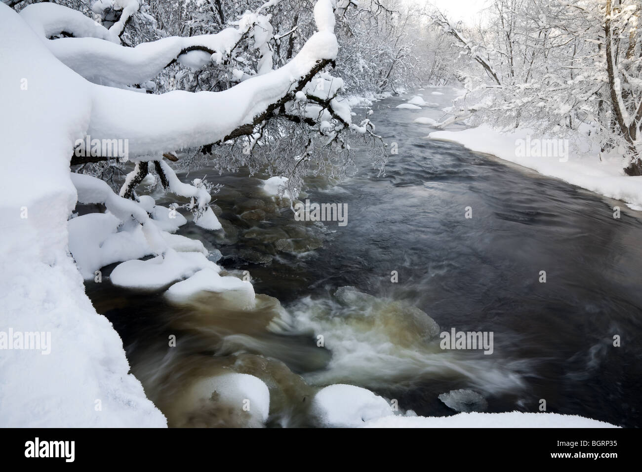 Fluss im winter Stockfoto