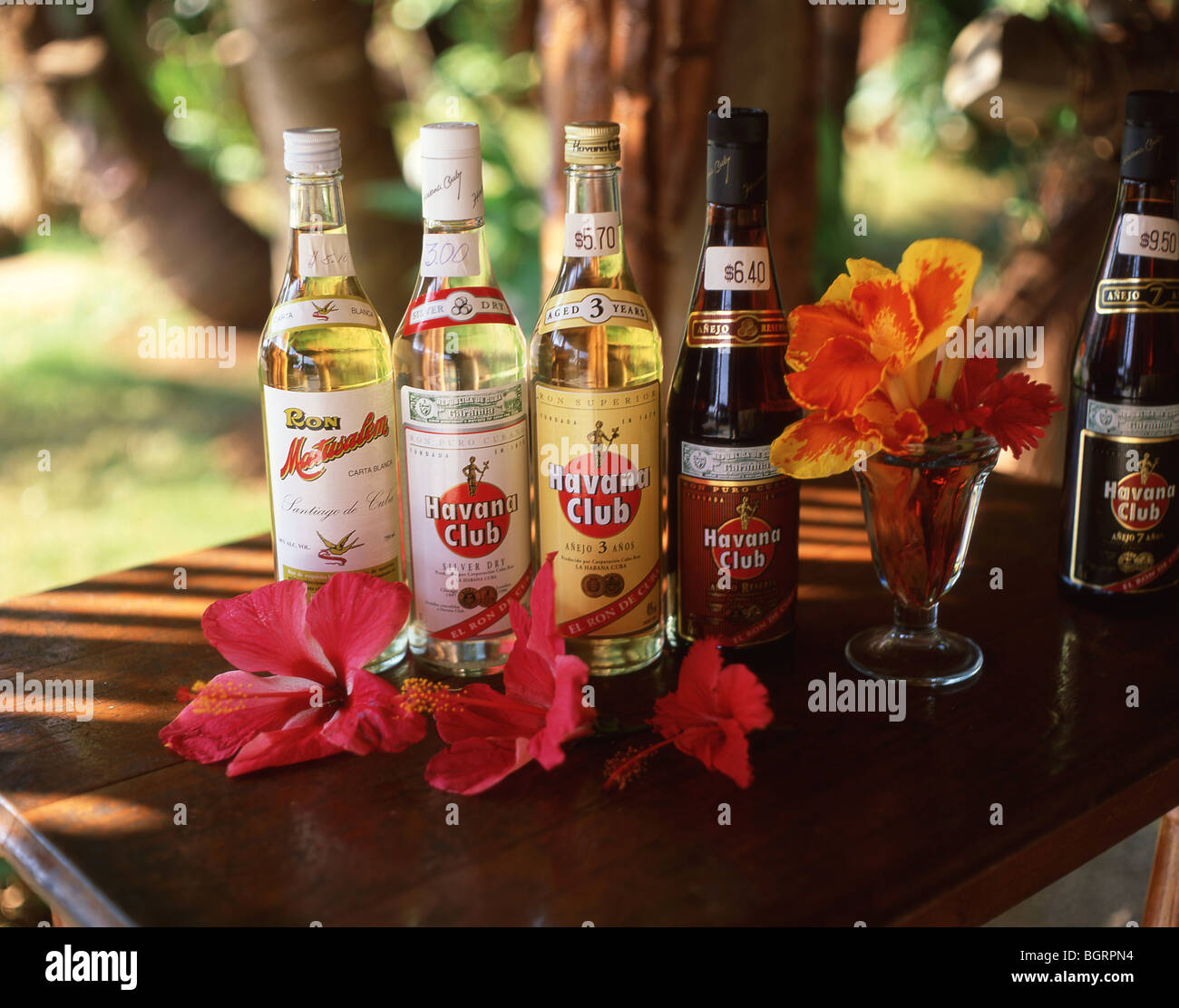 Flasche Rum und Blumen, Varadero, Matanzas, Republik Kuba