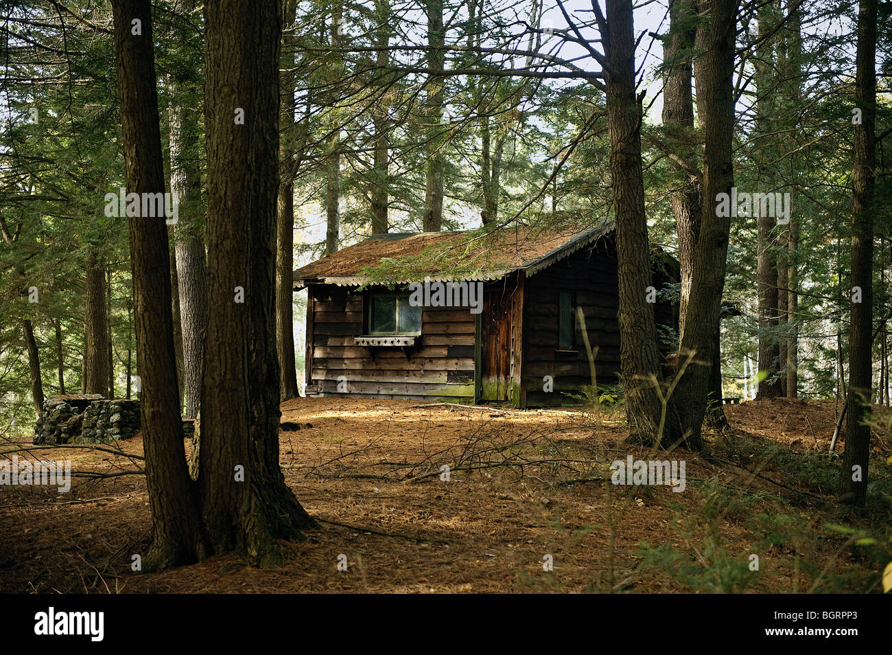 Remote hermitage Kabine, Massachusetts, USA Stockfoto