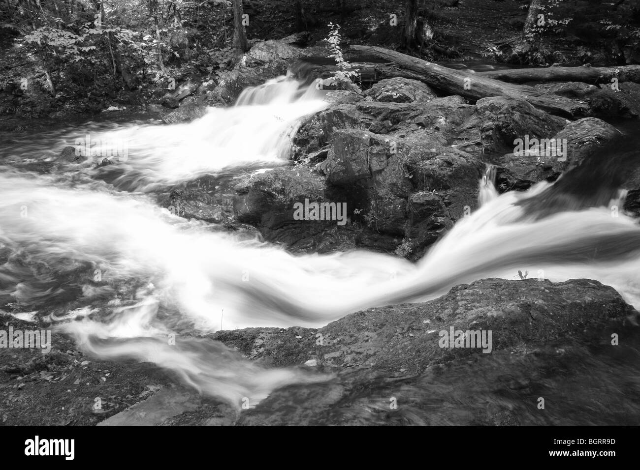 AJD62672, MI, Michigan, Upper Peninsula, Porcupine Mountains Wildnis State Park, übersehen Falls, Flüsschen Karpfen Stockfoto