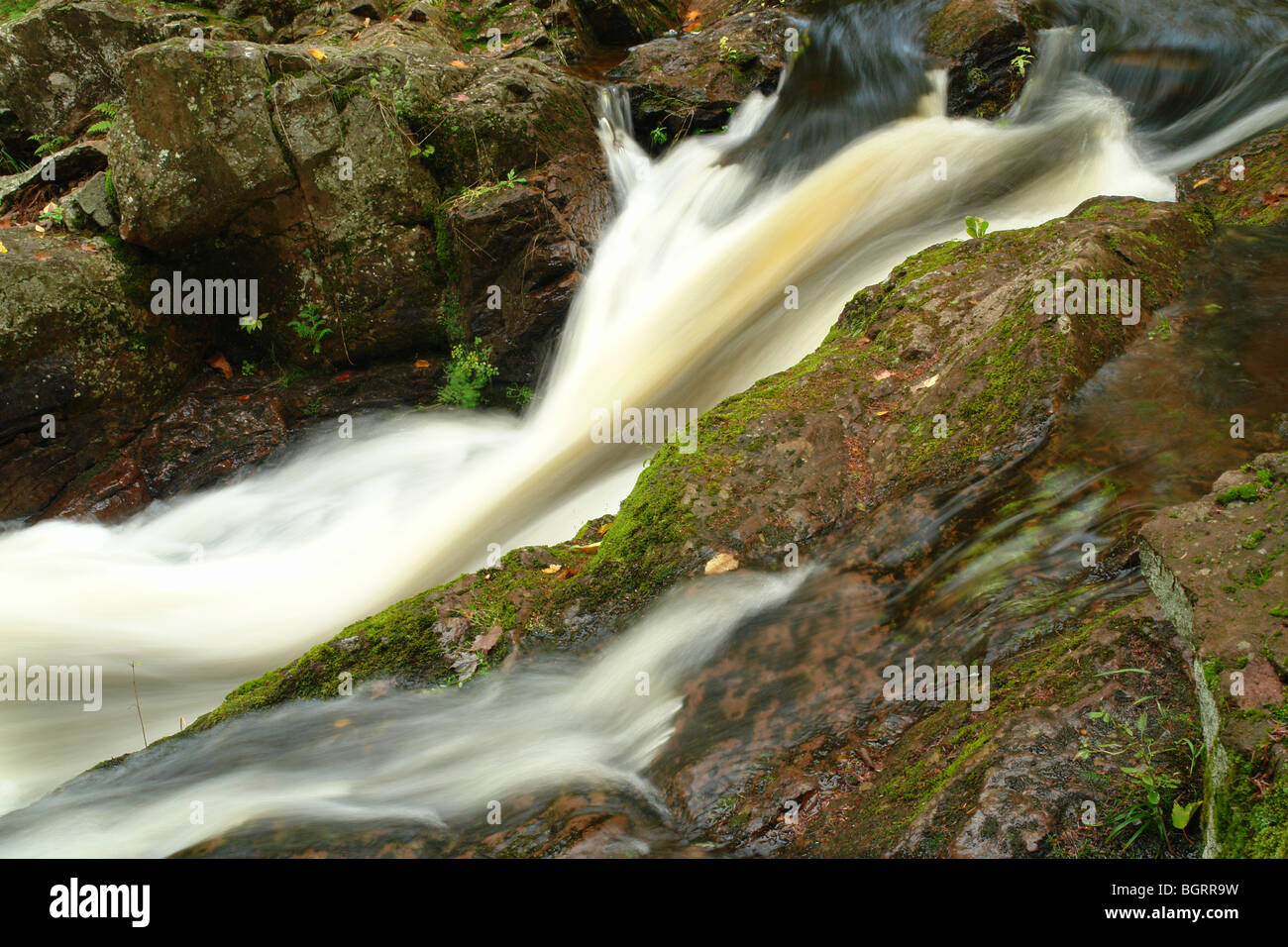 AJD62673, MI, Michigan, Upper Peninsula, Porcupine Mountains Wildnis State Park, übersehen Falls, Flüsschen Karpfen Stockfoto