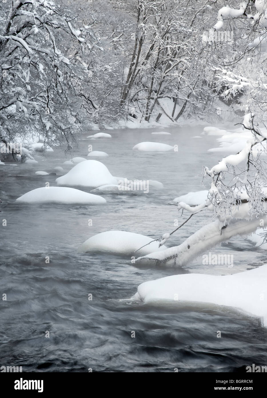 Fluss im winter Stockfoto