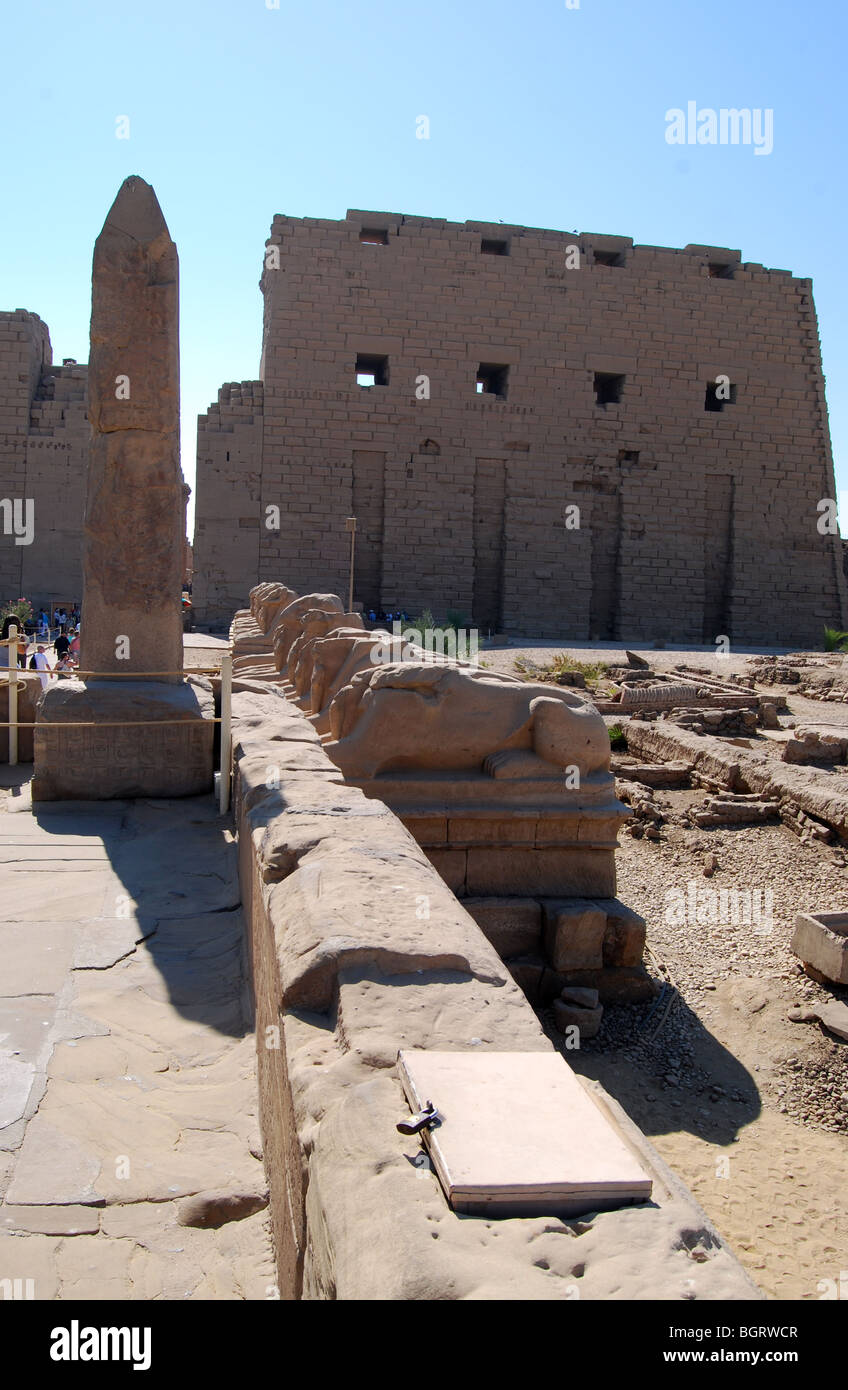 Karnak Tempel, Luxor Ägypten Anzahl 2775 Stockfoto