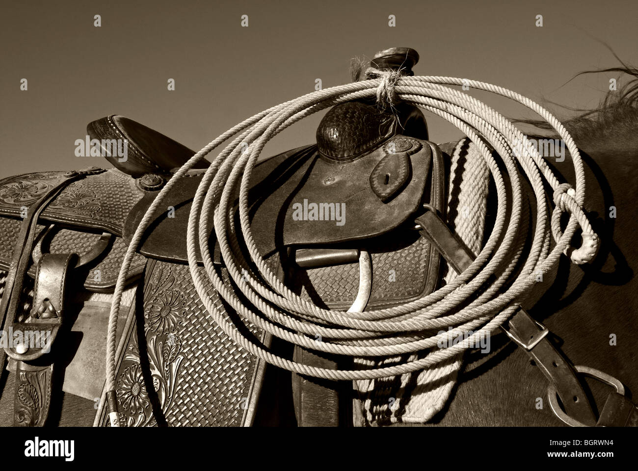 Tooled sattel -Fotos und -Bildmaterial in hoher Auflösung – Alamy